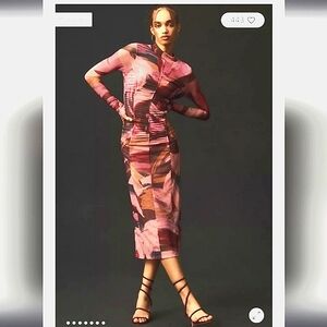 Anthropologie Printed Floral pink pull on Mesh sneath Midi Dress long sleeve XS